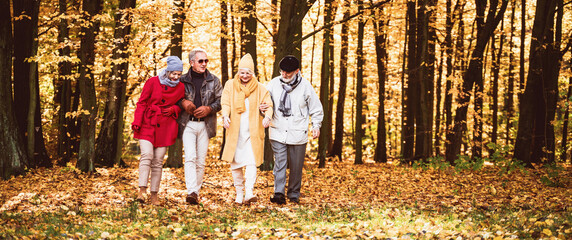 Wall Mural - Group of happy senior friends walking in autumn park.