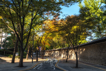 Wall Mural - Deoksugung doldam gil road