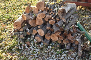 Canvas Print - Woodpile