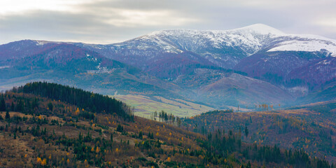  cold gloomy autumn morning in mountains. overcast sky above ridge with snow capped peaks. november scenery of carpathian rural area