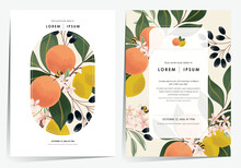 Vector Illustration Of A Beautiful Floral Frame Set With Fruits. Design For Cards, Party Invitation, Print, Frame Clip Art And Business Advertisement And Promotion