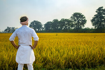 Farmer looking at his beautiful contrasting field