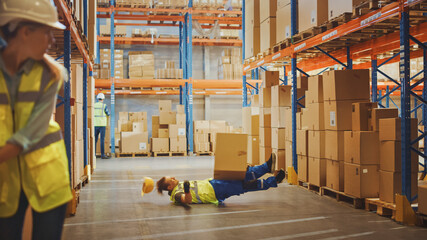 Wall Mural - Warehouse Worker Has Work Related Accident Falls while Trying to Pick Up Cardboard Box from the Shelf. Colleagues Call for Help and Medical Assistance. Injury at Work.