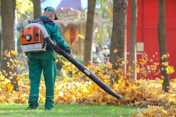 Wall Mural - worker cleans autumn leaves with a wind blower in a city park