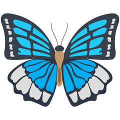 Poster - 
Flat icon design of a butterfly
