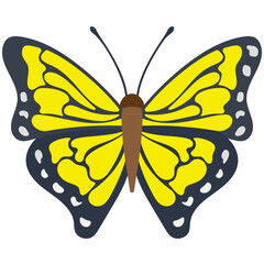 Poster - 
Flat icon design of a butterfly
