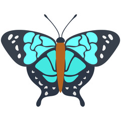 Poster - 
A colored butterfly flat icon image
