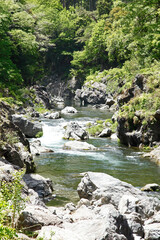 Poster - 鳩ノ巣渓谷（多摩川）