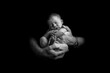 © Mint Images - Sleeping newborn baby being held in hands of father