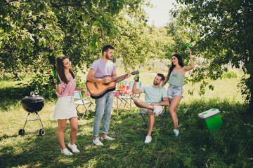 Poster - Full length photo of brown haired cheerful men and women play guitar drink beer dance outside in outdoors park