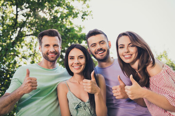 Sticker - Low angle view photo of charming cheerful brunette couples show thumbs up approve good vacation outside in park outdoors