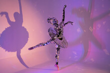 Mirror Xmas Ballerina Dance Costume