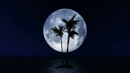 Wall Mural - big moon and palm tree