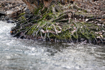 érosion du sol au bord d'une rivière