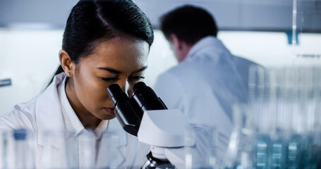 Wall Mural - multi ethnic team working in laboratory. using microscope