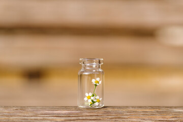 Wall Mural - very small autumn wildflowers in a mini bottle. signs of autumn image.