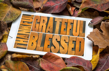 Wall Mural - thankful, grateful and blessed - abstract in vintage letterpress wood type on a digital tablet again