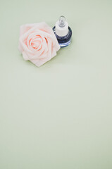 Poster - Vertical shot of a bottle of essential oil next to a beautiful pink rose placed on a gray surface