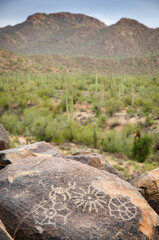 Wall Mural - Petroglyphs at Saguaro National Park