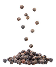 Black peppercorns falling on a pile on a white background. Isolated