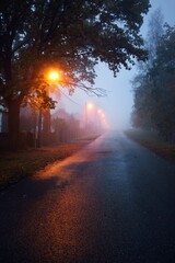 Wall Mural - An empty illuminated country asphalt road through the trees and a small town in a fog on a rainy day, street lanterns close-up, red light. Road trip, transportation, communications, driving