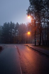 Wall Mural - An empty illuminated country asphalt road through the trees and a small town in a fog on a rainy day, street lanterns close-up, red light. Road trip, transportation, communications, driving