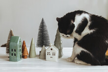Adorable Cat Sitting At Modern Christmas Decorations Little Trees And Houses