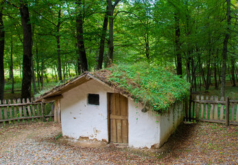 Canvas Print - SIBIU, ROMANIA - Oct 04, 2020: old Romanian house in the rural area at the Sibiu Village Museum - Romania