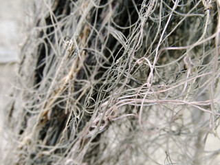 fishing nets