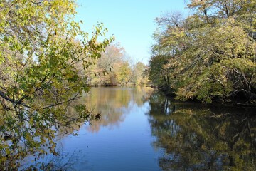 Wall Mural - reflection of trees in the water at Cooper River Camden New Jersey.