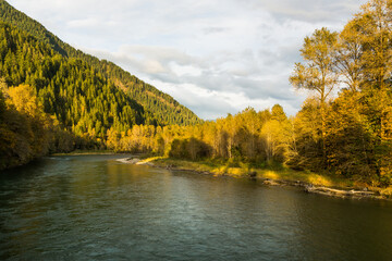 Poster - Skagit river, Washington, in autumn sunset. Golden colors foliage on both sides of riverbanks