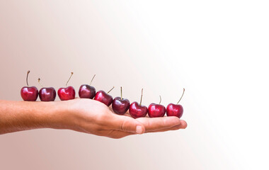 Fresh sweet red cherries isolated on pink background