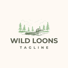 Wild Loons Bird Swimming In Lake With Pines Forest In Background Logo Design Template