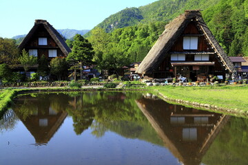 Wall Mural - travel in Japan