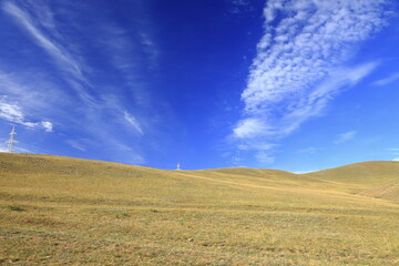 Sticker - travel in Mongolia