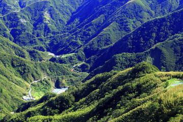 Wall Mural - beauty of nature in Xinzhu Taiwan