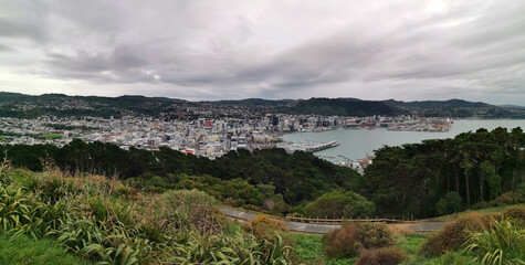 Sticker - WELLINGTON, NEW ZEALAND - May 28, 2019: View of Wellington city from Mount Victoria