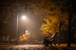 © olezzo - Alley with benches in an autumn park at night with the light of lanterns