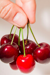 close up ripe cherries on a white background