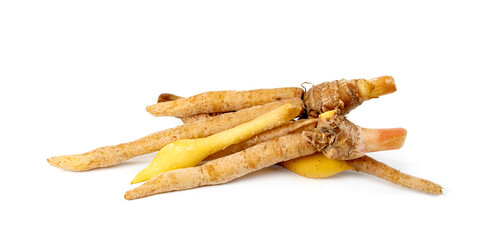 Poster - finger root or Chinese's Ginger isolated on the white background.