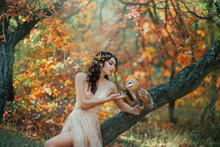 Autumn Fairy Tale. Fantasy Woman Sitting On Tree Branch With A Barn Owl. Forest Nymph Girl Holds A White Bird In Hands. Portrait Of Romantic Lady In Golden Dress. Art Nature, Orange Yellow Trees