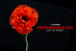 Remembrance day banner. Poppy flower on black background.