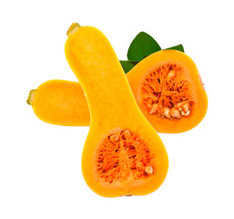 Fresh butternut pumpkin on a white background