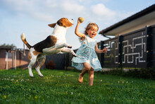 Adorable Baby Girl Runs Together With Beagle Dog In Backyard On Summer Day.
