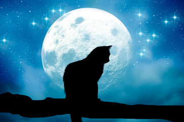 silhouette of cat with moon and stars in moonlight blue night sky  like magic cat, magic animals and mystic fantasy atmosphere. magic moon 