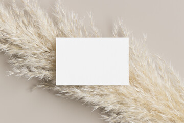 Wall Mural - White business card mockup with a pampas grass decoration. 85x55mm