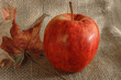 czerwone jabłko w jesiennej aranżacji