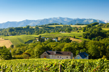 Sticker - vineyard in south Jurancon, France