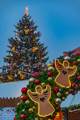 Poster - Christmas tree on Old Town Square in Prague, Czech Republic