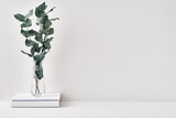 Fototapeta  - Transparent vase with eucalyptus branches on a white background. Eco-materials in the interior. Copy space, mock up